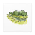 Ninh Binh Rice Terraces Vietnam Canvas Wall Art